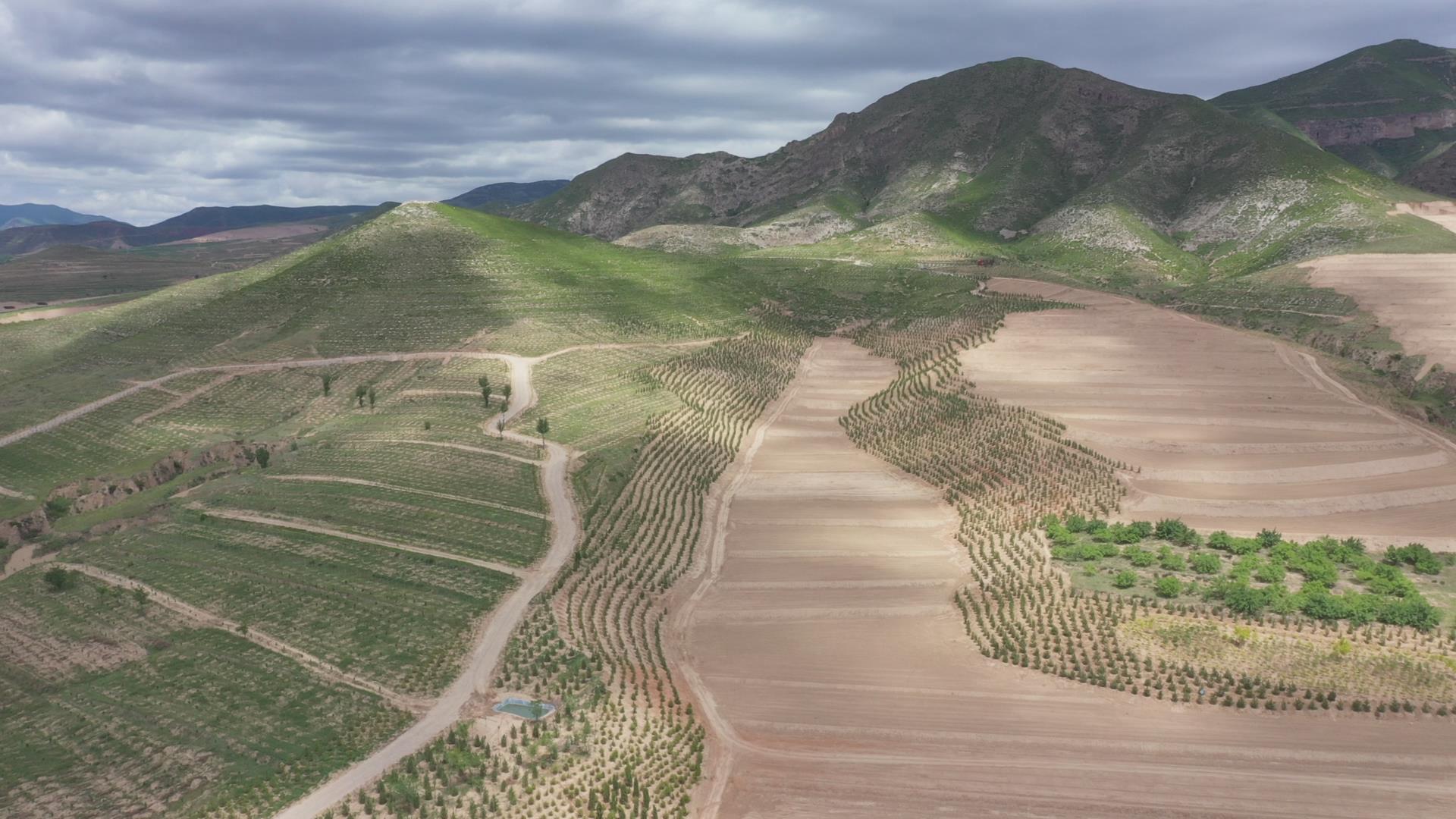 多乐游戏游客登录:3个100% 大连市“三水”共治 绘就碧水清流新画卷
